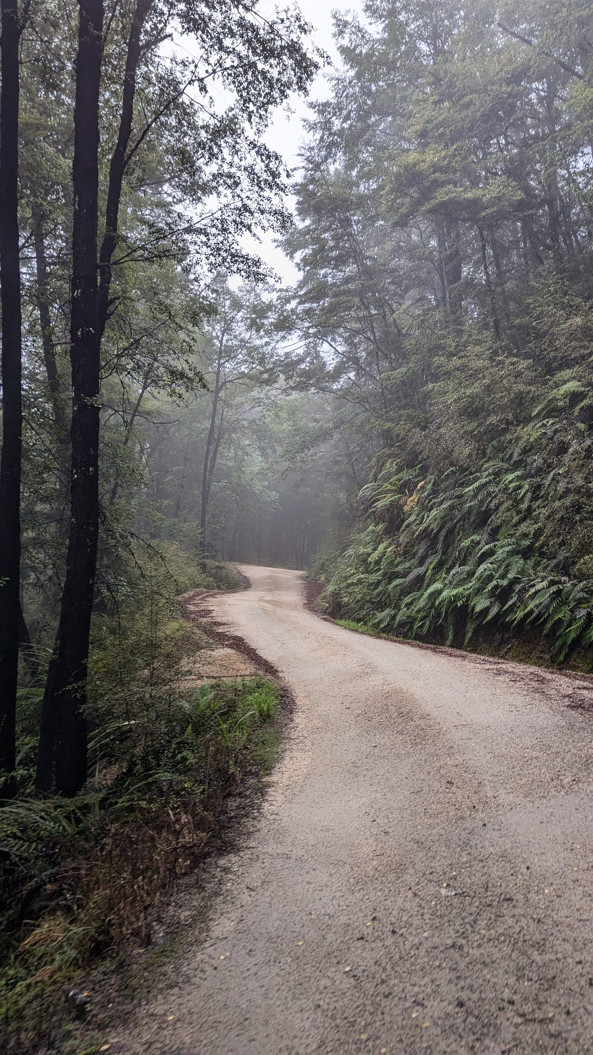 Tour Aotearoa Day 2 Murchison to Reefton